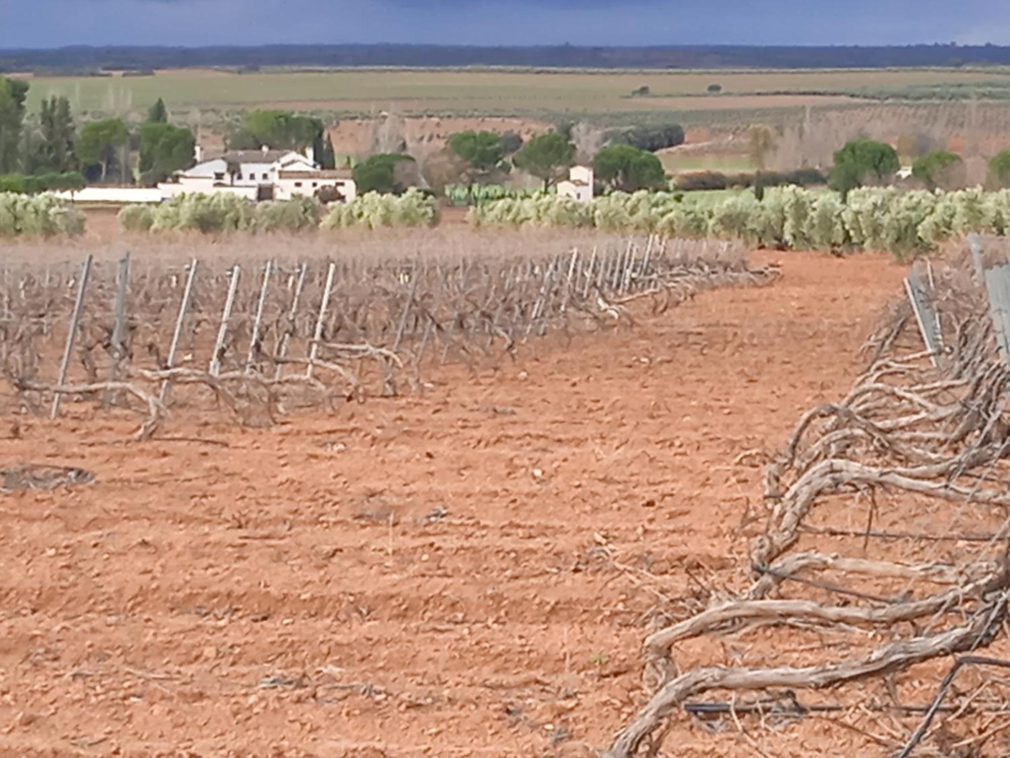 ויינואבה דה לוס אינפנטס Casa Rural Senorio De Quevedo מראה חיצוני תמונה