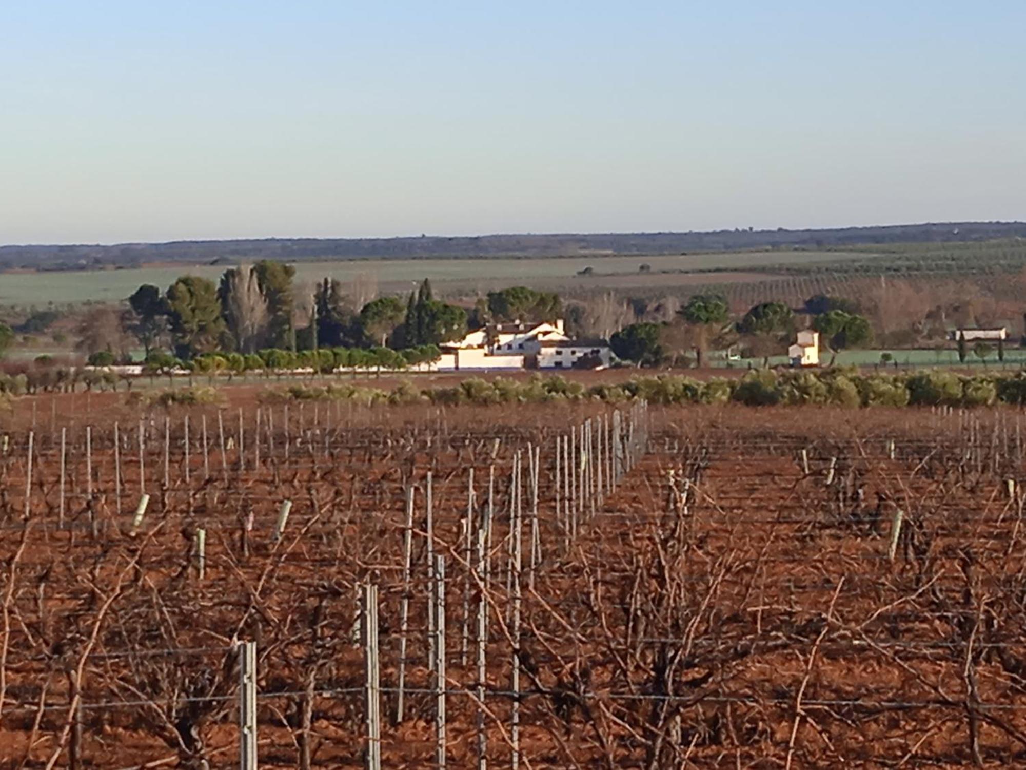 ויינואבה דה לוס אינפנטס Casa Rural Senorio De Quevedo מראה חיצוני תמונה